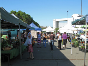 Vendors at the Vista Farmers Market