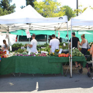Finding Your Favorite Vendors